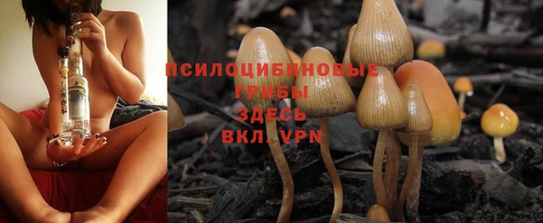 MDMA Медногорск